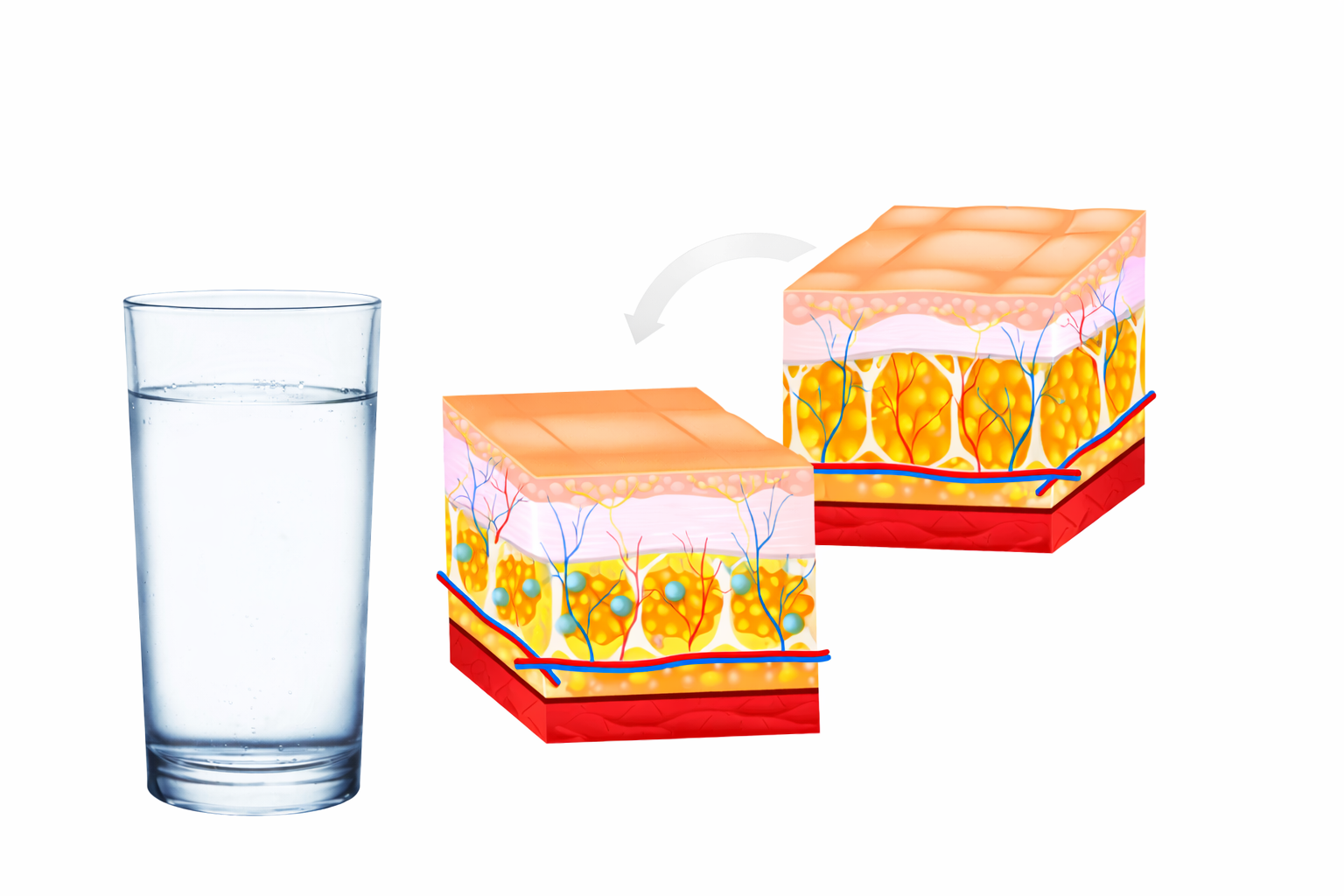 Jak Balancio funguje